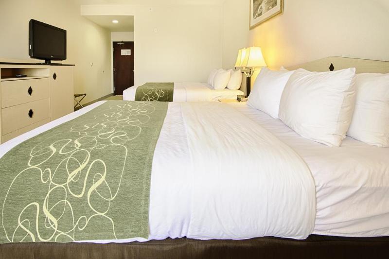 Comfort Inn & Suites Airport Convention Center Ріно Екстер'єр фото